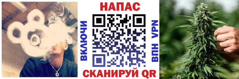 Бошки Шишки ГИДРОПОН  Павловский Посад 